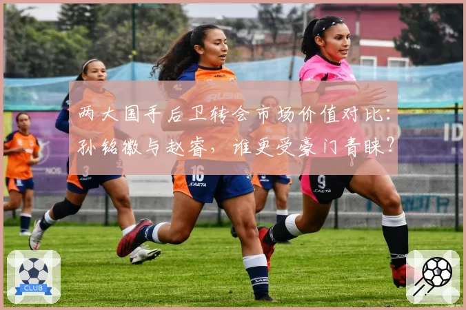 两大国手后卫转会市场价值对比:孙铭徽与赵睿,谁更受豪门青睐?
