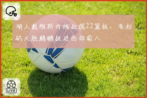 湖人戴维斯内线狂揽22篮板,洛杉矶大胜鹈鹕挺进西部前八