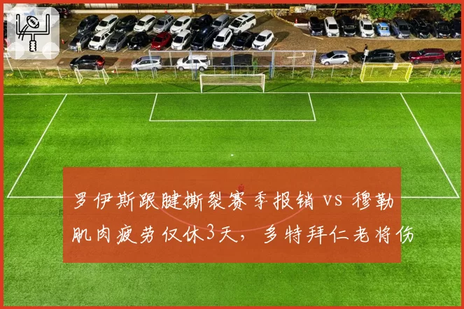 罗伊斯跟腱撕裂赛季报销 vs 穆勒肌肉疲劳仅休3天,多特拜仁老将伤病耐受度差异