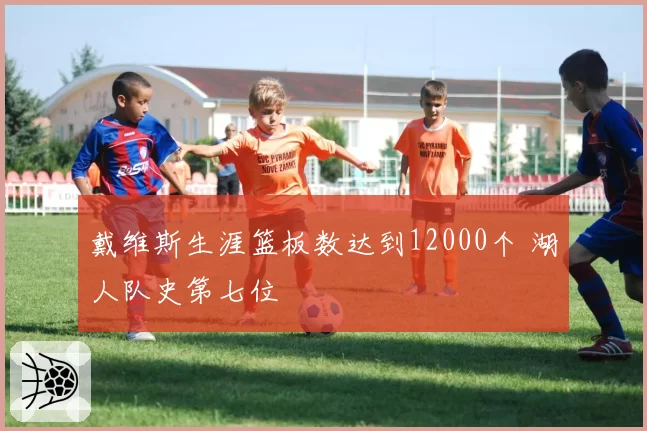 戴维斯生涯篮板数达到12000个 湖人队史第七位